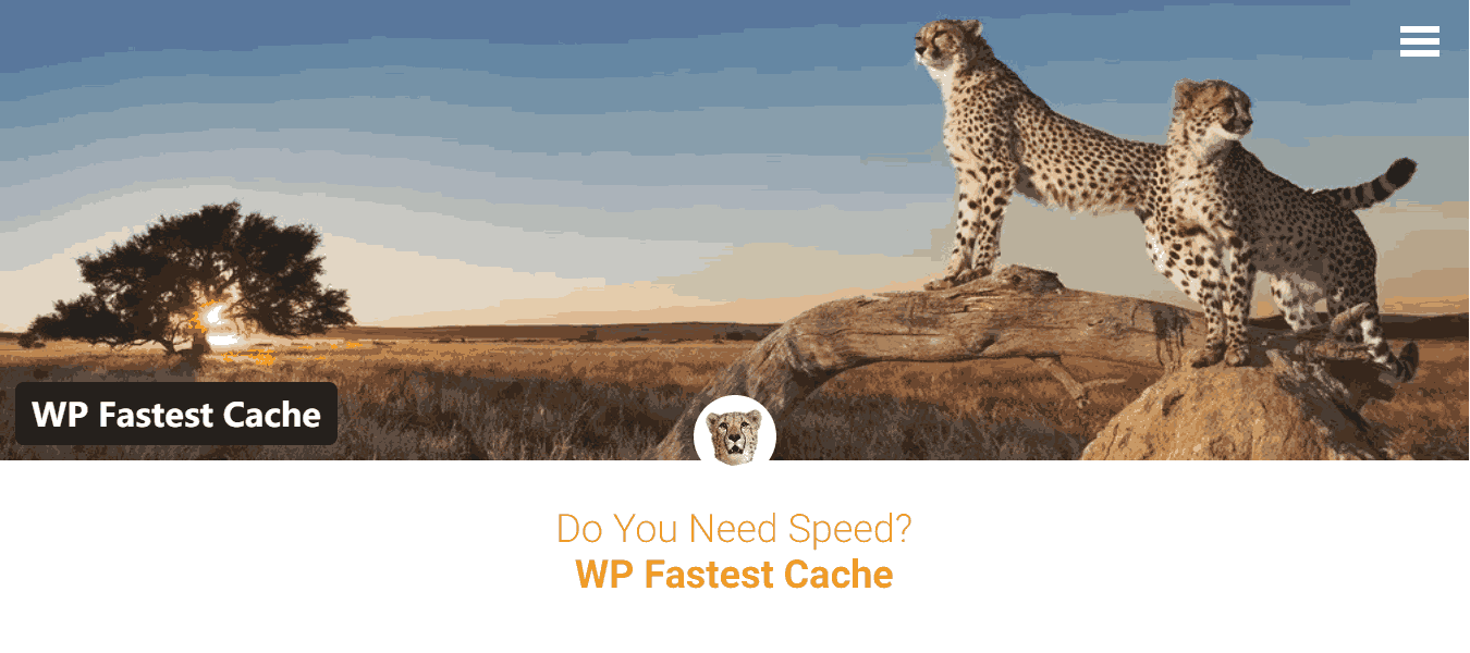 WP Fastest Cache